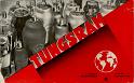 Tgsr1938_cat